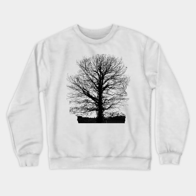 Tree in wintertime in black and white. Crewneck Sweatshirt by robelf